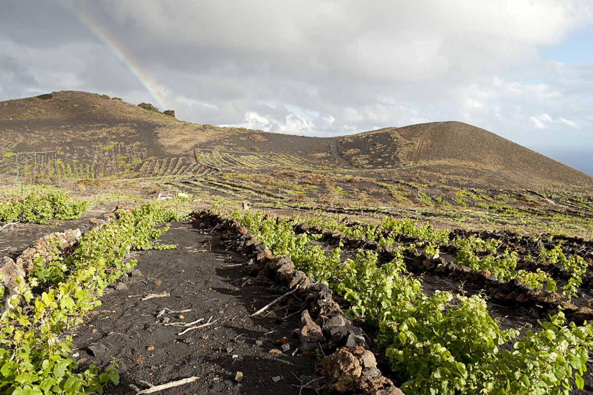 Qué ver en Fuencaliente