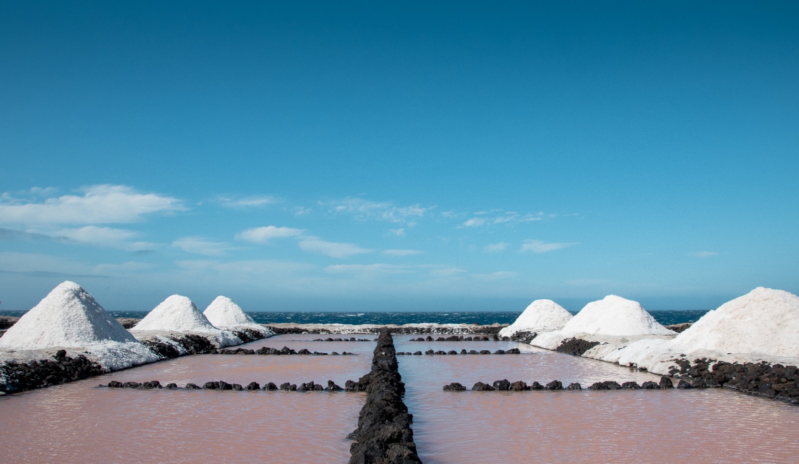 por qué las salinas son rosas