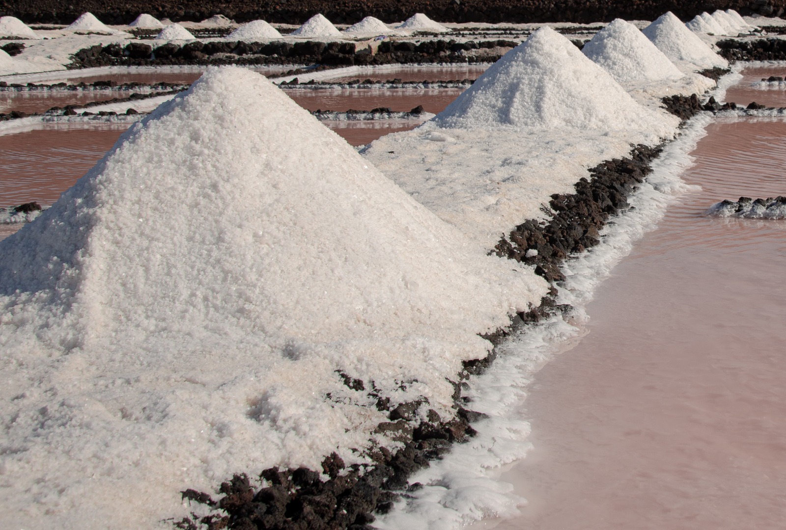 por qué las salinas son rosas